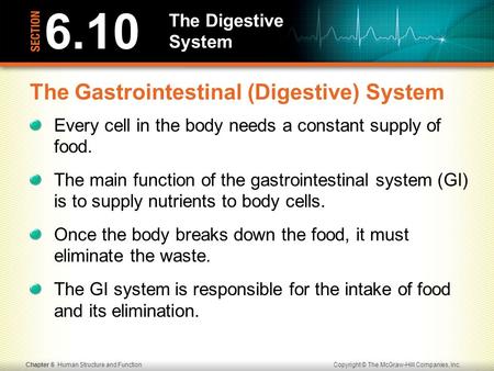 Copyright © The McGraw-Hill Companies, Inc.Chapter 6 Human Structure and Function The Digestive System The Gastrointestinal (Digestive) System Every cell.