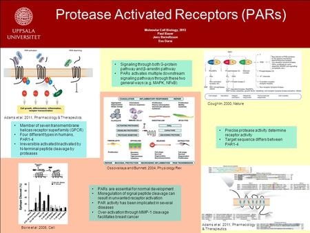 Protease Activated Receptors (PARs) Molecular Cell Biology, 2013 Paul Bauer Jens Berndtsson Eva Darai Adams et al. 2011, Pharmacology & Therapeutics Coughlin.