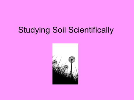 Studying Soil Scientifically. Things plants need in order to grow: 1) Sunlight 2) Water 3) Air 4) Soil with proper nutrients.