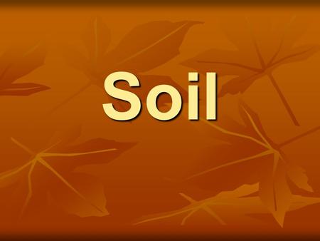 Soil. What is soil? Soil is a mixture of bits of weathered rock, humus, water, and air. Soil is a mixture of bits of weathered rock, humus, water, and.