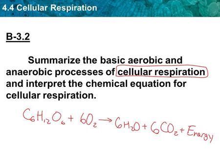4.4 Cellular Respiration B-3.2 Summarize the basic aerobic and anaerobic processes of cellular respiration and interpret the chemical equation for cellular.