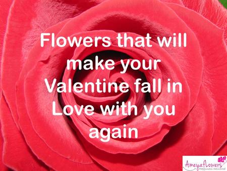 Flowers that will make your Valentine fall in Love with you again.
