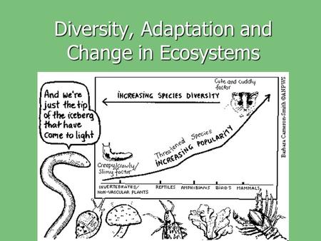 Diversity, Adaptation and Change in Ecosystems. Selective Advantage?
