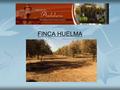 FINCA HUELMA. Finca Huelma has 688 deeded hectares but there are in reality about 700 hectares. The farm has its own brand, called Oil Battens and is.