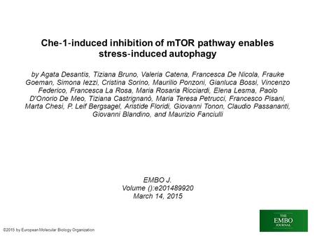 Che ‐ 1 ‐ induced inhibition of mTOR pathway enables stress ‐ induced autophagy by Agata Desantis, Tiziana Bruno, Valeria Catena, Francesca De Nicola,