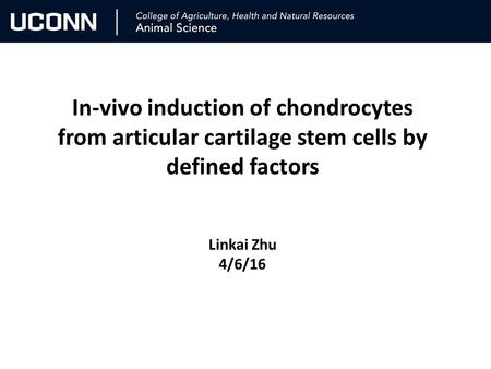 In-vivo induction of chondrocytes from articular cartilage stem cells by defined factors Linkai Zhu 4/6/16 Targeting OA.