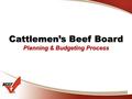 Cattlemen’s Beef Board Planning & Budgeting Process.
