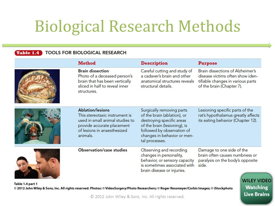 download operations research beiträge zur quantitativen wirtschaftsforschung