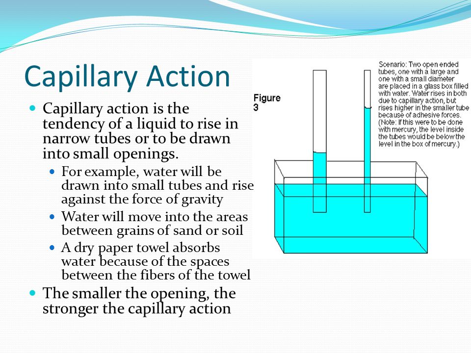 Capillary Water 7