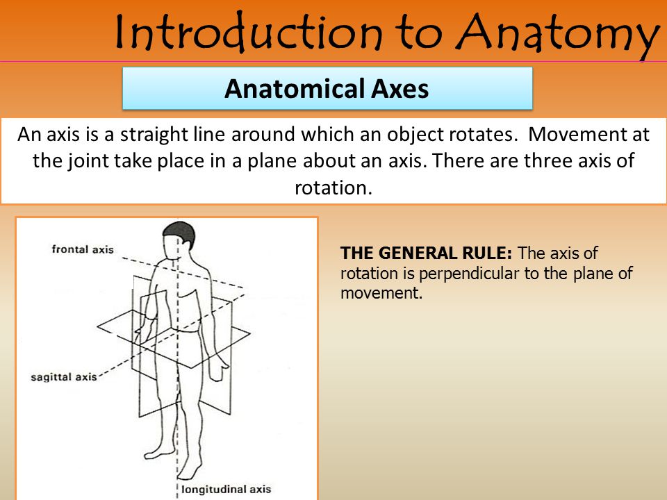 free games information and politics applying game theoretic models to