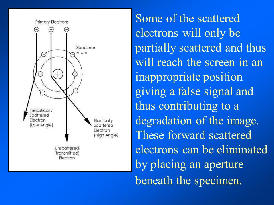 download proceedings of the galactic center workshop 2002 the central 300 parsecs