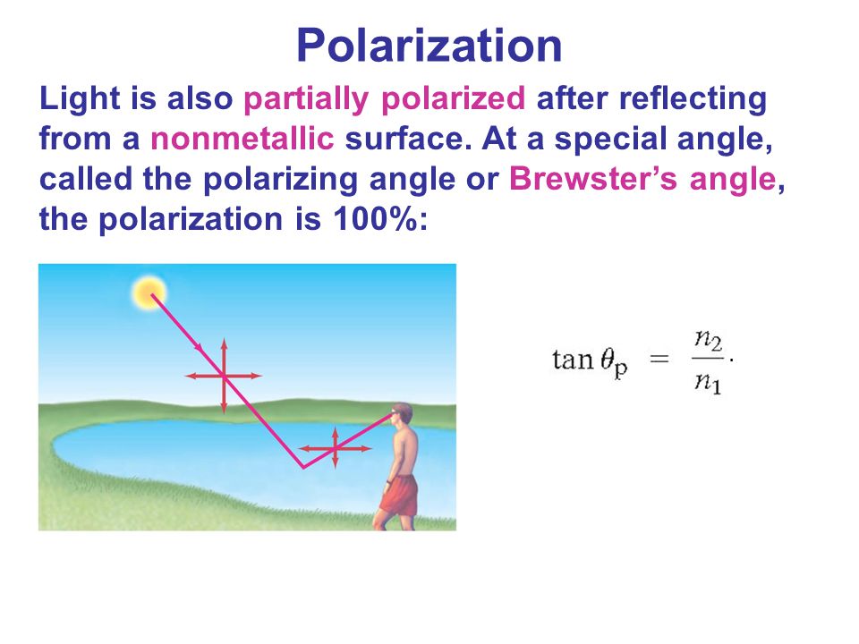 download membrane science and