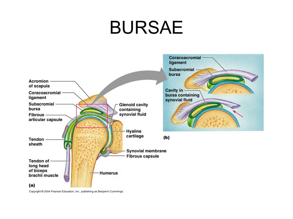 isoperimetry and