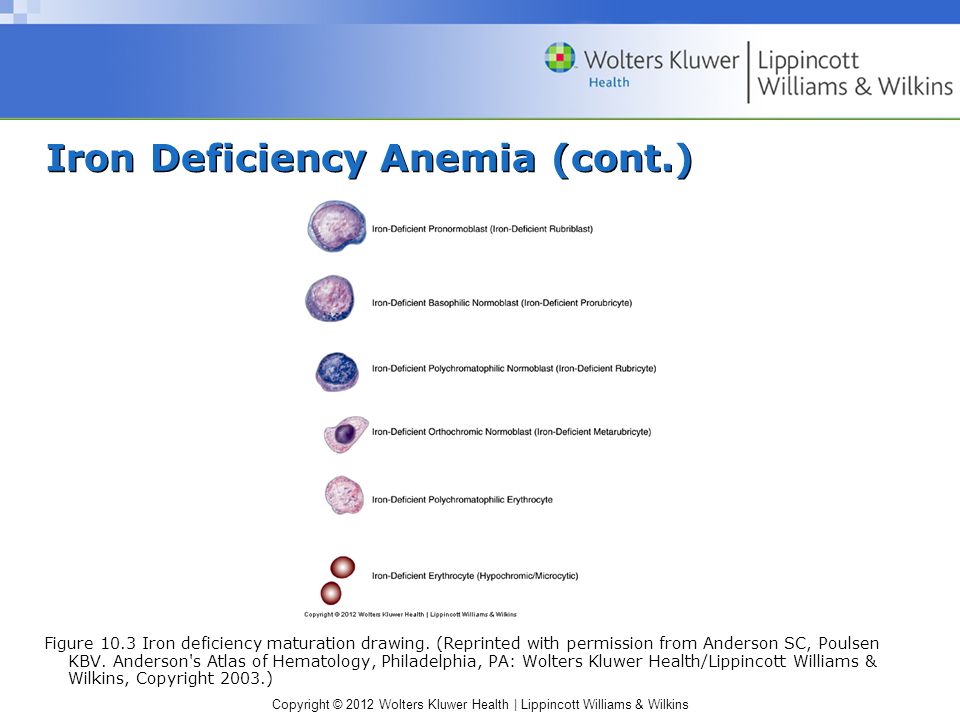 Erythrocytic Anemia Diet Chart
