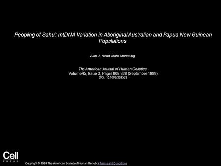 Peopling of Sahul: mtDNA Variation in Aboriginal Australian and Papua New Guinean Populations Alan J. Redd, Mark Stoneking The American Journal of Human.