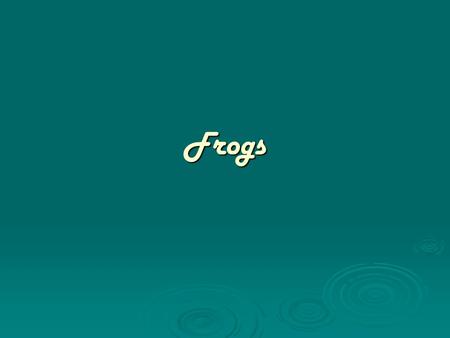 Frogs. Vertebrates  Have a backbone Include: fishes, reptiles, amphibians, birds and mammals Include: fishes, reptiles, amphibians, birds and mammals.