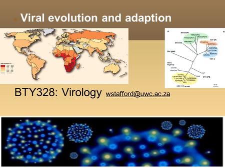 download Dermatología neonatal, 2ª edición 2008