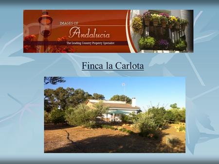 Finca la Carlota. The property has two houses, one large and the other a smaller cottage, as well as a wooden hut. Each house has a separate entrance.