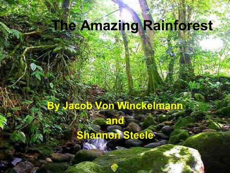 The Amazing Rainforest By Jacob Von Winckelmann and Shannon Steele.
