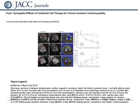 Date of download: 6/29/2016 Copyright © The American College of Cardiology. All rights reserved. From: Synergistic Effects of Combined Cell Therapy for.