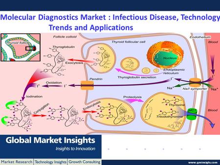 Molecular Diagnostics Market : Infectious Disease, Technology
