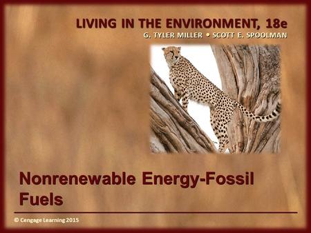 © Cengage Learning 2015 LIVING IN THE ENVIRONMENT, 18e G. TYLER MILLER SCOTT E. SPOOLMAN © Cengage Learning 2015 Nonrenewable Energy-Fossil Fuels.