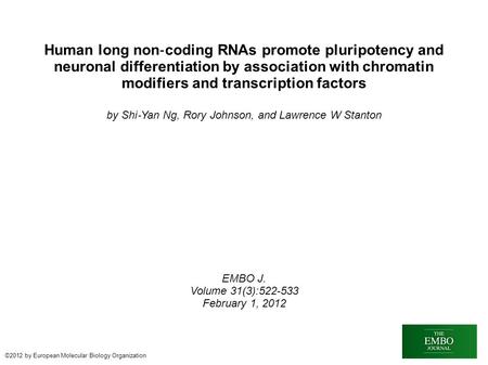 Human long non ‐ coding RNAs promote pluripotency and neuronal differentiation by association with chromatin modifiers and transcription factors by Shi.