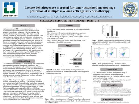 Lactate dehydrogenase is crucial for tumor associated macrophage protection of multiple myeloma cells against chemotherapy Carolyn Stierhoff, Enguang Bi,