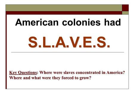 American colonies had S.L.A.V.E.S. Key Questions: Where were slaves concentrated in America? Where and what were they forced to grow?