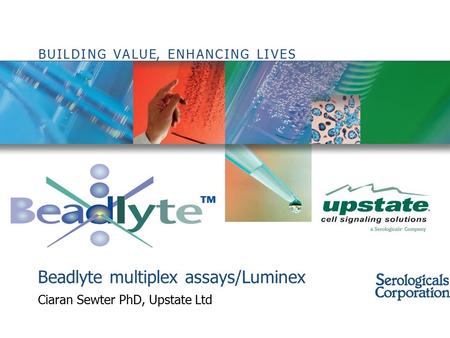 Beadlyte multiplex assays/Luminex