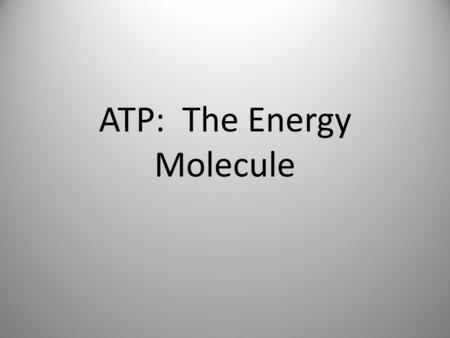 ATP: The Energy Molecule. What is ATP? ATP stands for “adenosine triphosphate”. This molecule is known as the “energy currency” for organisms.