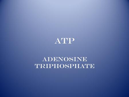 ATP ADENOSINE TRIPHOSPHATE. ATP SC Standard B-3.3: Recognize the overall structure of ATP – namely, adenine, the sugar ribose, & 3 phosphate groups –