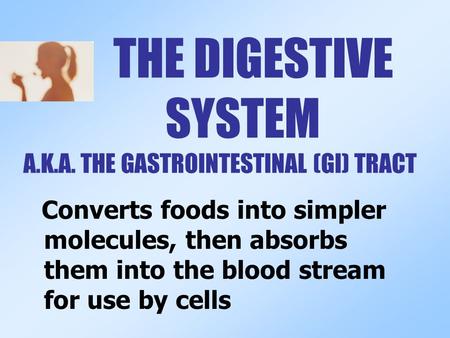 THE DIGESTIVE SYSTEM A.K.A. THE GASTROINTESTINAL (GI) TRACT Converts foods into simpler molecules, then absorbs them into the blood stream for use by.