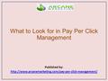 What to Look for in Pay Per Click Management Published by: