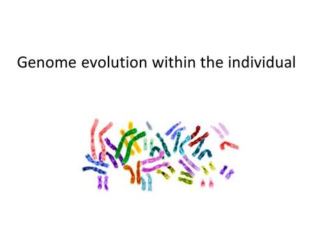 Genome evolution within the individual