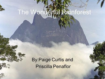 The Wonderful Rainforest By:Paige Curtis and Priscilla Penaflor.
