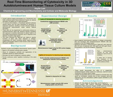 Real-Time Biomonitoring of Cytotoxicity in 3D Autobioluminescent Human Tissue Culture Models Haylie Lam Chemical Engineering and Biochemistry and Cellular.