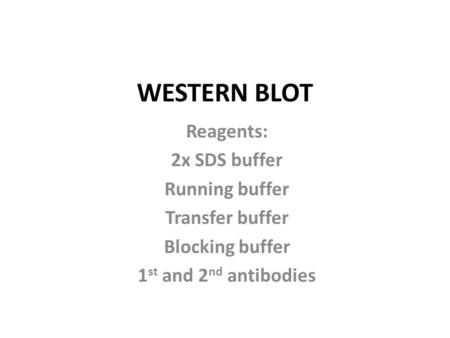 WESTERN BLOT Reagents: 2x SDS buffer Running buffer Transfer buffer