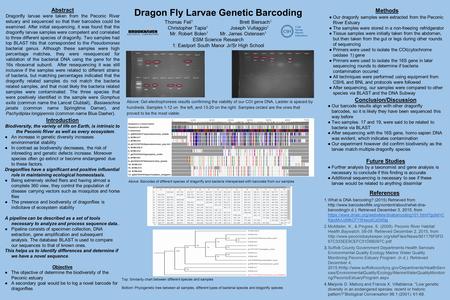 Dragon Fly Larvae Genetic Barcoding References 1.What is DNA barcoding? (2015) Retrieved from  barcoding(n.d.).