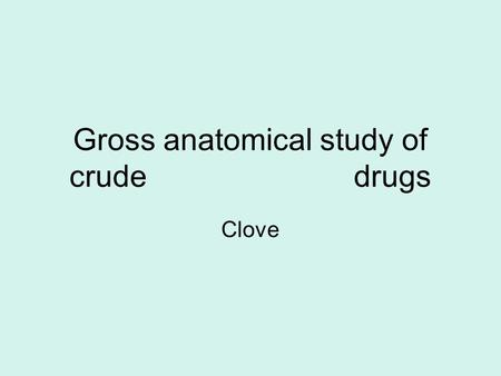 Gross anatomical study of crude drugs