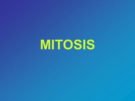MITOSIS. Animated Cycle