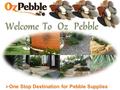  One Stop Destination for Pebble Supplies. Index  About Us  Our Products  Why Us  Contact Us.