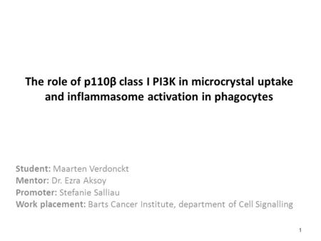 The role of p110β class I PI3K in microcrystal uptake and inflammasome activation in phagocytes Student: Maarten Verdonckt Mentor: Dr. Ezra Aksoy Promoter:
