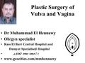 Plastic Surgery of Vulva and Vagina