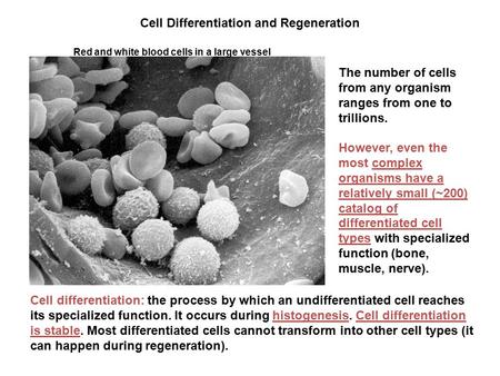 Cell Differentiation and Regeneration The number of cells from any organism ranges from one to trillions. However, even the most complex organisms have.