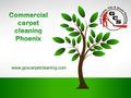 Www.gcscarpetcleaning.com. GCS Carpet Cleaning We are fully licensed and insured and committed to setting the industries standards. Receive your free.