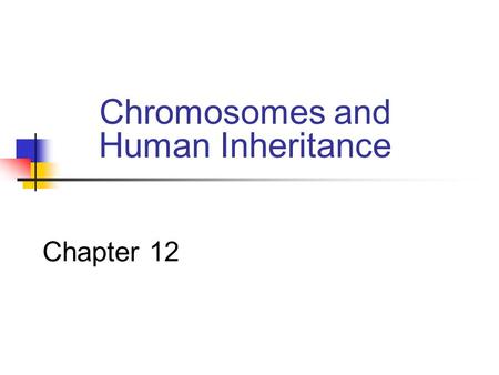 Chapter 12 Chromosomes and Human Inheritance. Impacts, Issues Video Strange Genes, Richly Tortured Minds.