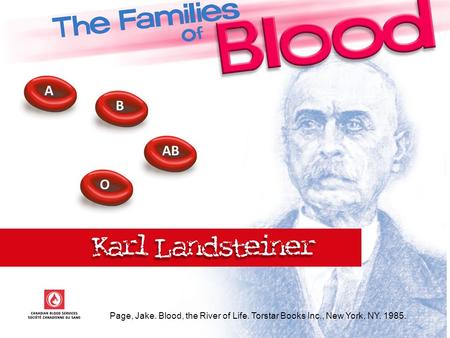 A B AB O In 1900 Dr. Karl Landsteiner identified the four major human blood groups. They are? A, B, AB and O. By mixing plasma and red blood cells taken.