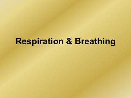 Respiration & Breathing. Our cells need energy… For: Movement (muscle contraction) Heat generation (37°C) Active transport (absorption in the gut) Nerve.
