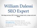 William Dalessi SEO Expert When it comes to web design services  is the one name you can trust, not just as an orange country web design.